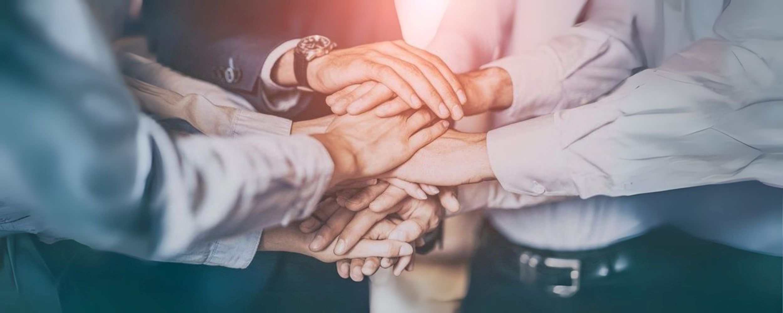 Partnership and Collaboration